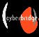 Cyberbridge Identity